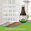 Livomzyme Syrup 200ml  – Ayurvedic Liver & Digestive Support Formula