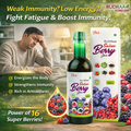 Rudraa Sixteen Berry Juice – Power of 16 Berries for Immunity & Energy