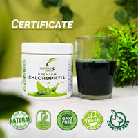 Rudraa Forever Premium Chlorophyll Powder – Natural Detox & Energy Booster
