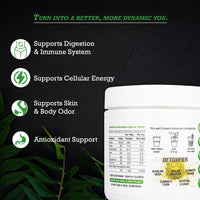 Rudraa Forever Premium Chlorophyll Powder – Natural Detox & Energy Booster