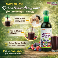 Rudraa Sixteen Berry Juice – Power of 16 Berries for Immunity & Energy